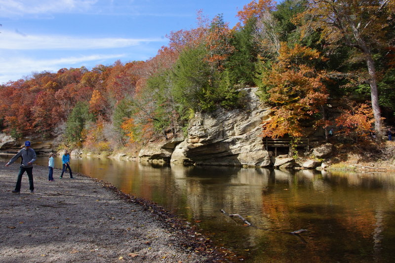 Turkey Run State Park