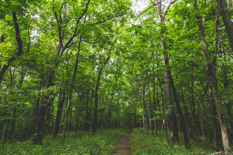 Cedar Valley Nature Trail, Sugar Bottom Recreation Area, Iowa