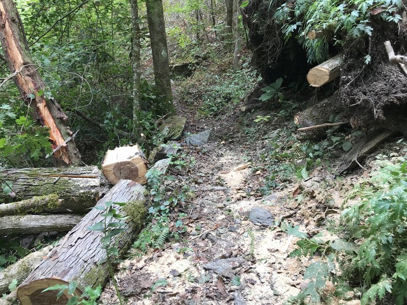 Trail along the Hiwassee River cleared by volunteers