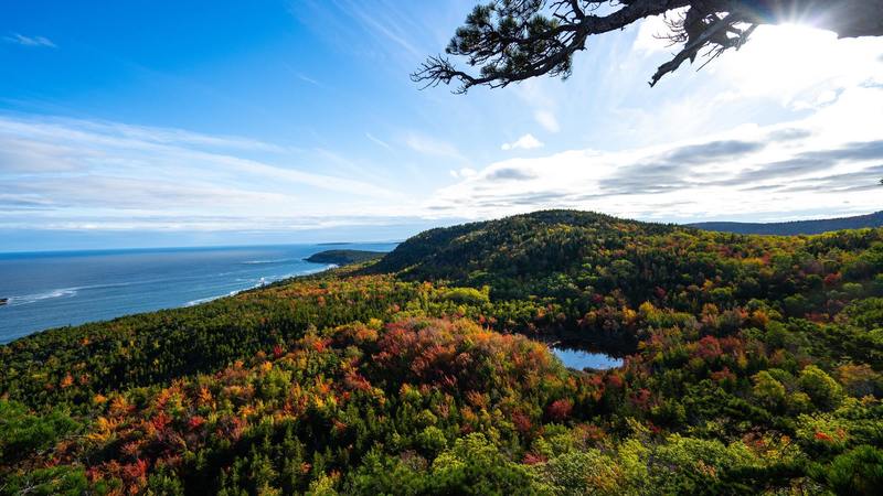 Acadia National Park Pond, Bar Harbor, United States