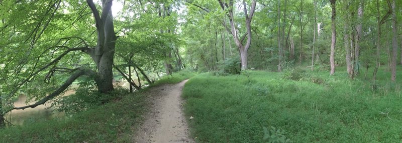 Super smooth trail along the river.