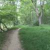 Super smooth trail along the river.