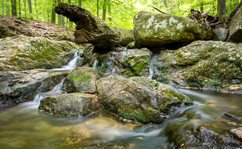 Cascade Falls Trail, Patapsco Valley State Park, Elkridge, Maryland (USA)