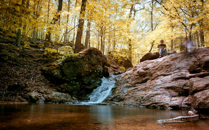 Cascade Falls Trail, Patapsco Valley State Park, Elkridge, Maryland (USA)