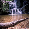 Cascade Falls, Patapsco Valley State Park, Elkridge, Maryland (USA) - April 2017