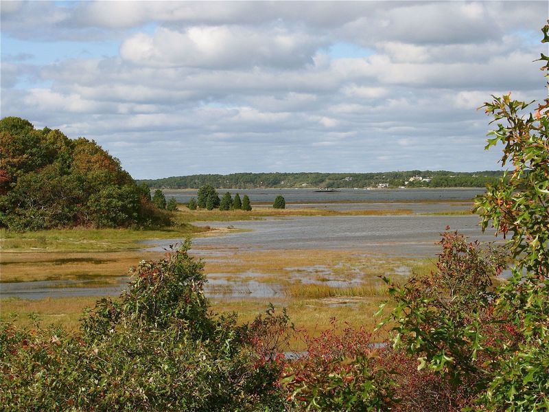 The marsh at high tide