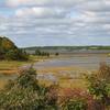 The marsh at high tide