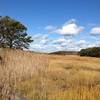 Wellfleet Bay Wildlife Sanctuary