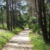 Path at Wellfleet Bay Audubon