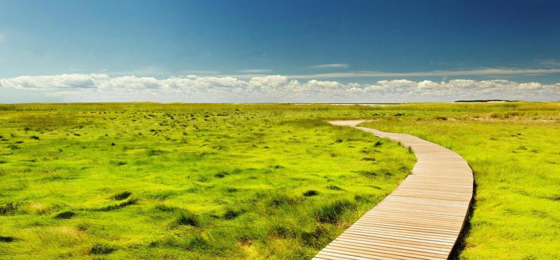 Wellfleet, United States