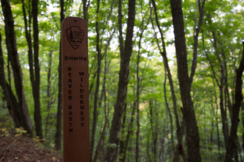 Entering Beaver Basin Wilderness