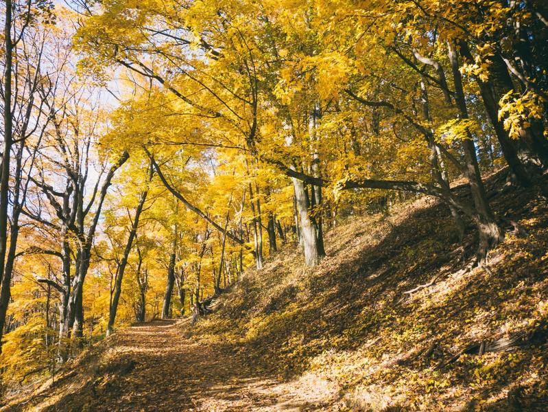 Saugatuck, United States