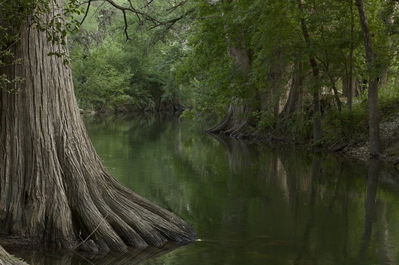 waterway - cibolo creek, boerne, tx