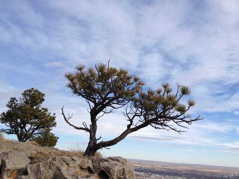 Monument top