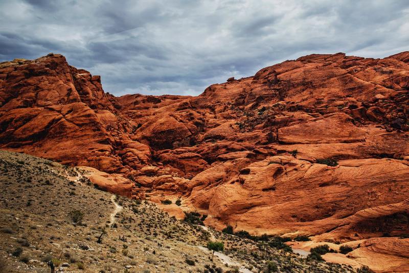 Red Desert Rocks