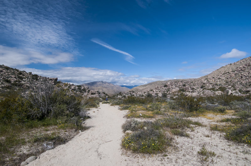 The trail back to the parking lot