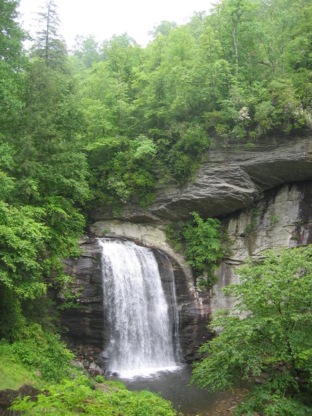 Looking Glass Falls