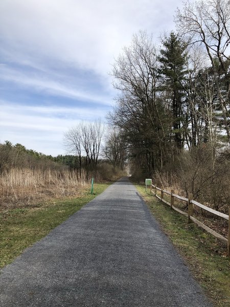 Bellefonte Rail Trail near campus