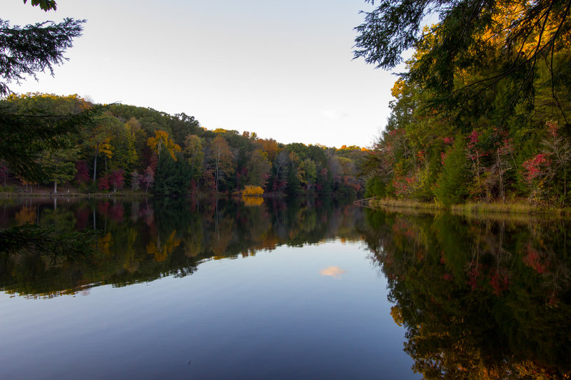 Rose Lake Overlook