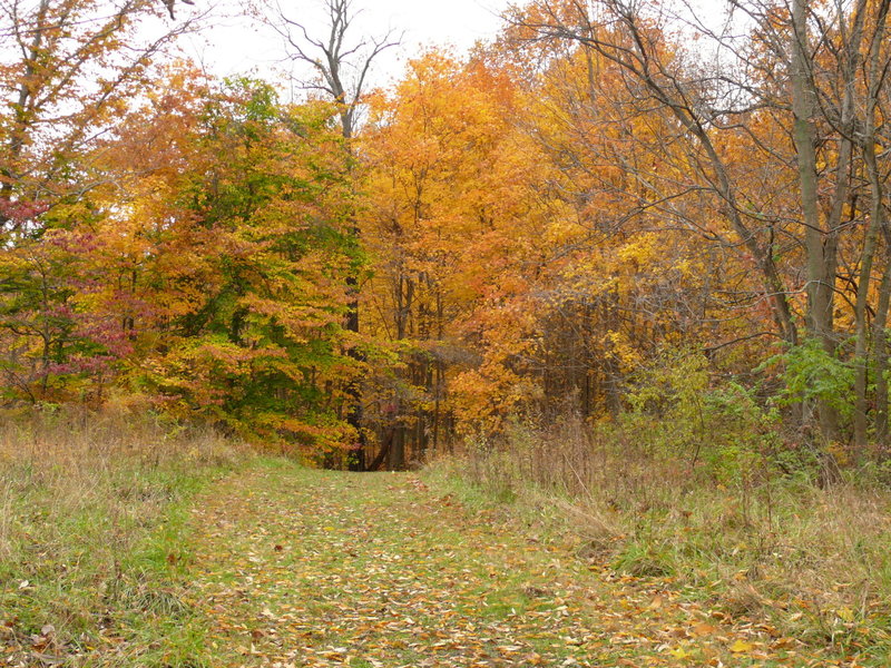 Highbanks Metro Park Columbus