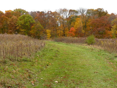 Highbanks Metro Park Columbus
