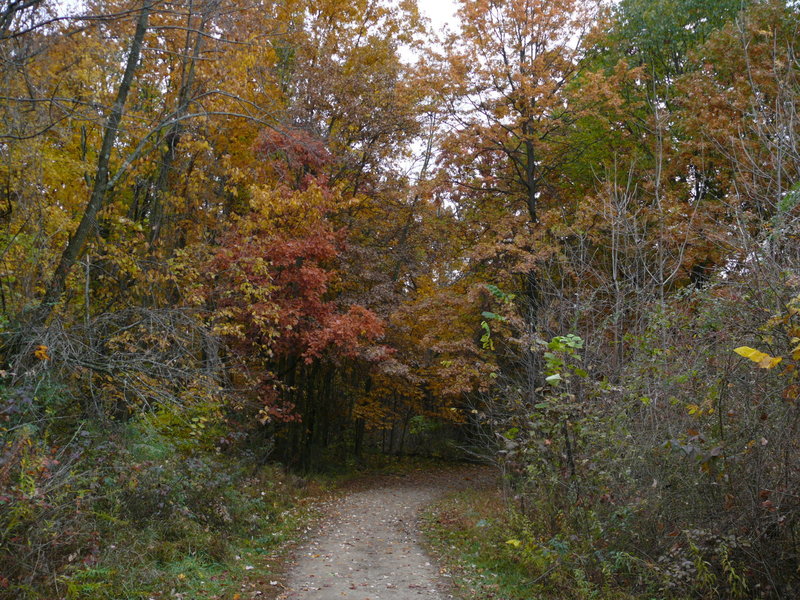 Highbanks Metro Park Columbus