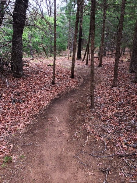 Heading back after finishing the Back 40 loop.