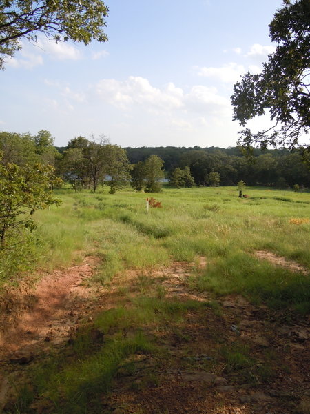 Summertime on the Orange Trail.