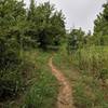 Some very nice singletrack covers most of these trails. Note the side mowing operation which makes the trails  a little easier.