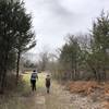 This is a transition area from woods into a huge briar thicket!  Very interesting habitat that protects small animals.  I'm working to identify the briar species.