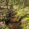 Small creek that leads to the North Landing River