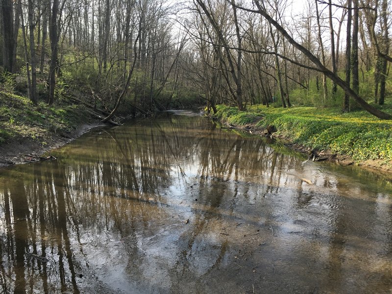 West Fork Mill Creek