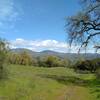 The Diablo Range with Mt. Hamilton, 4,265 ft., on the left is seen in the distance through a break in the trees and brush along Dairy Trail.