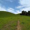 Heading up into the grass hills on Edwards Loop Trail.