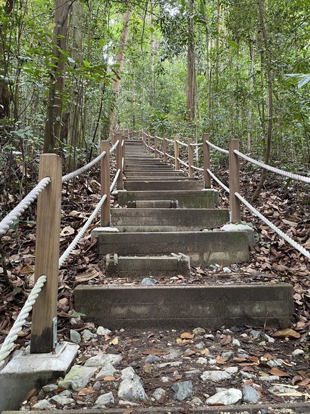 The more challenging steps. Thoughtful half steps put in by park service