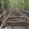 The more challenging steps. Thoughtful half steps put in by park service