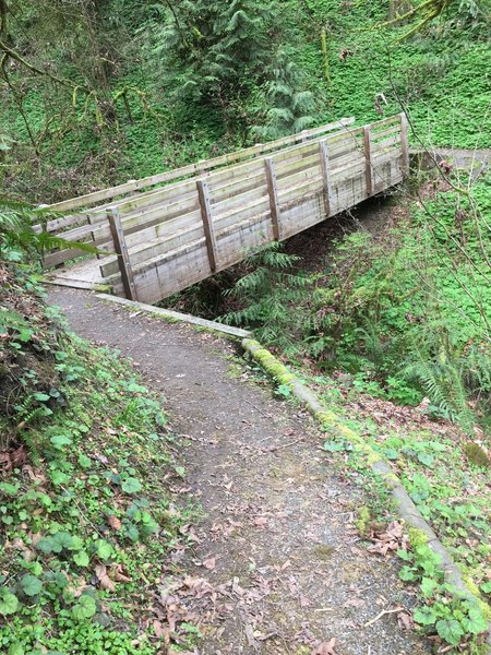 Foot Bridge over small seasonal stream.