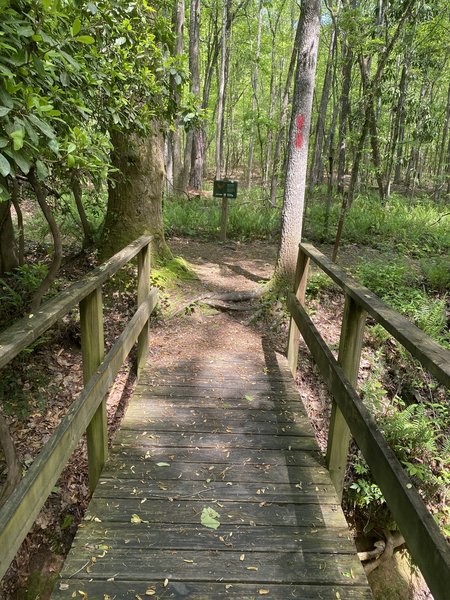 There are about 12 bridges over small streams.