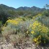 View of the  North Franklin Mountains