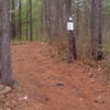 Trail access at Holly Ridge Boat Area