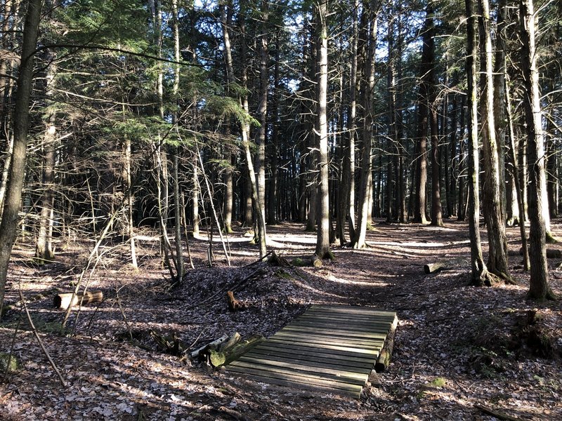 One of the many bridge/boardwalks along GES Nature Trail