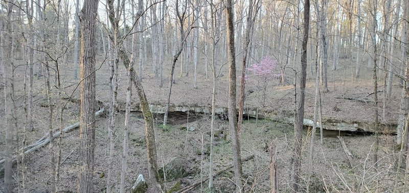 Ledge of rocks jutting out from hillside