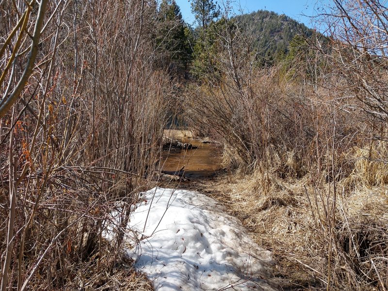 Crossing Bear Creek in early April.