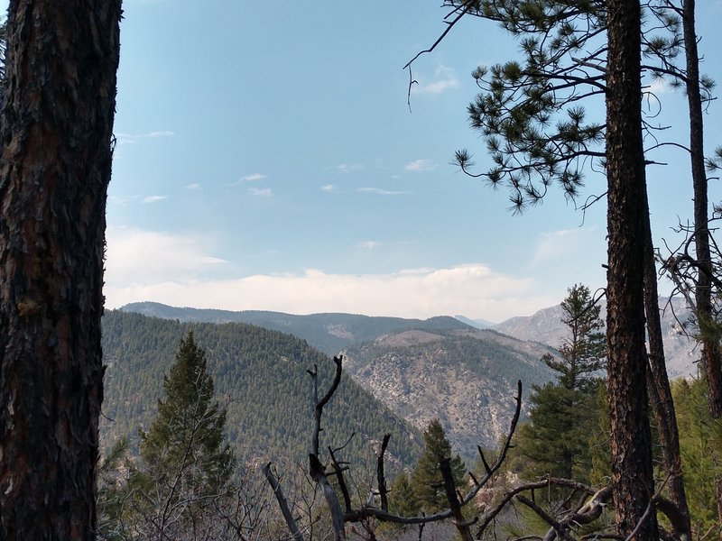 View west from the top of a ridge.