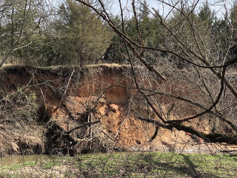 The creek continues to carve away at this bank of the Cowskin creek every year.