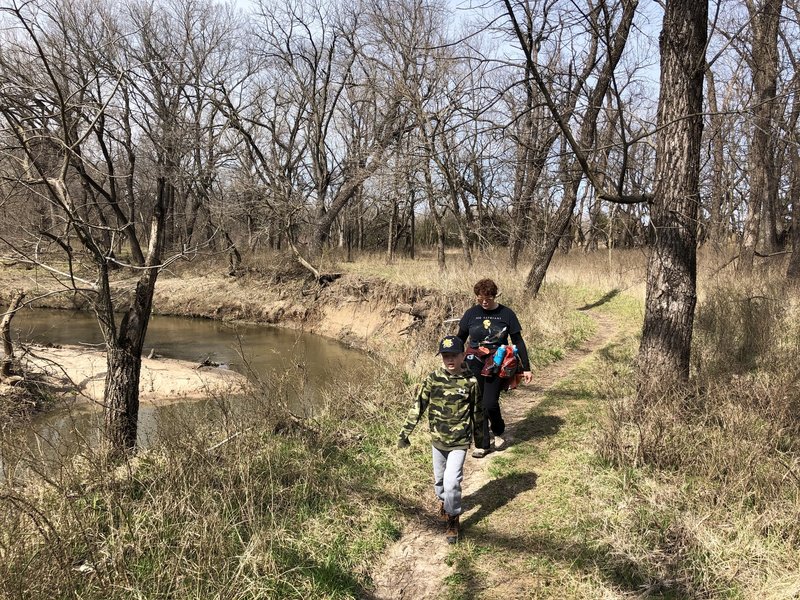 Woods trail along the creek