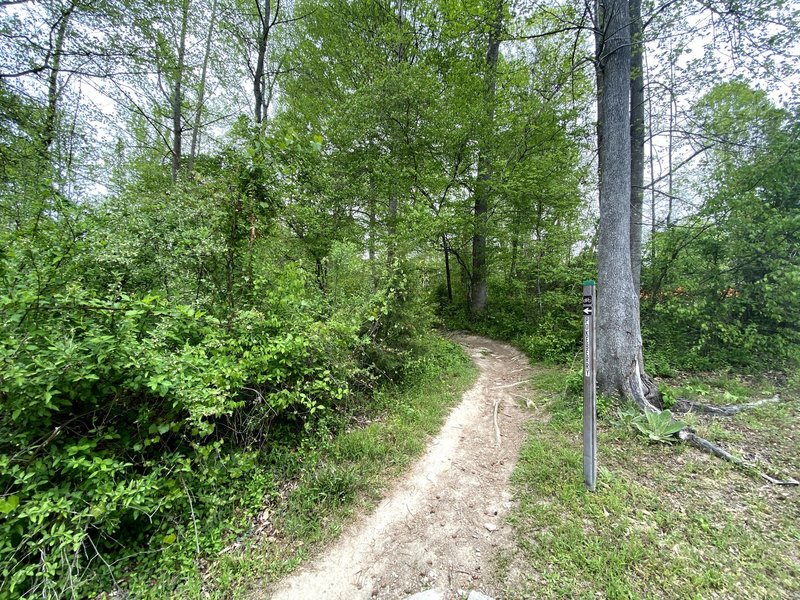 Southern trailhead - Pokeberry Trail