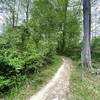 Southern trailhead - Pokeberry Trail