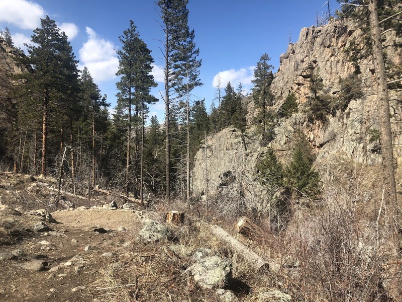 Turn in the trail along the water.