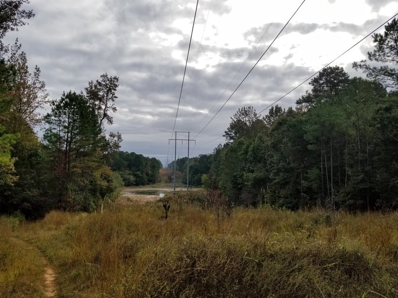 A look down powerline.